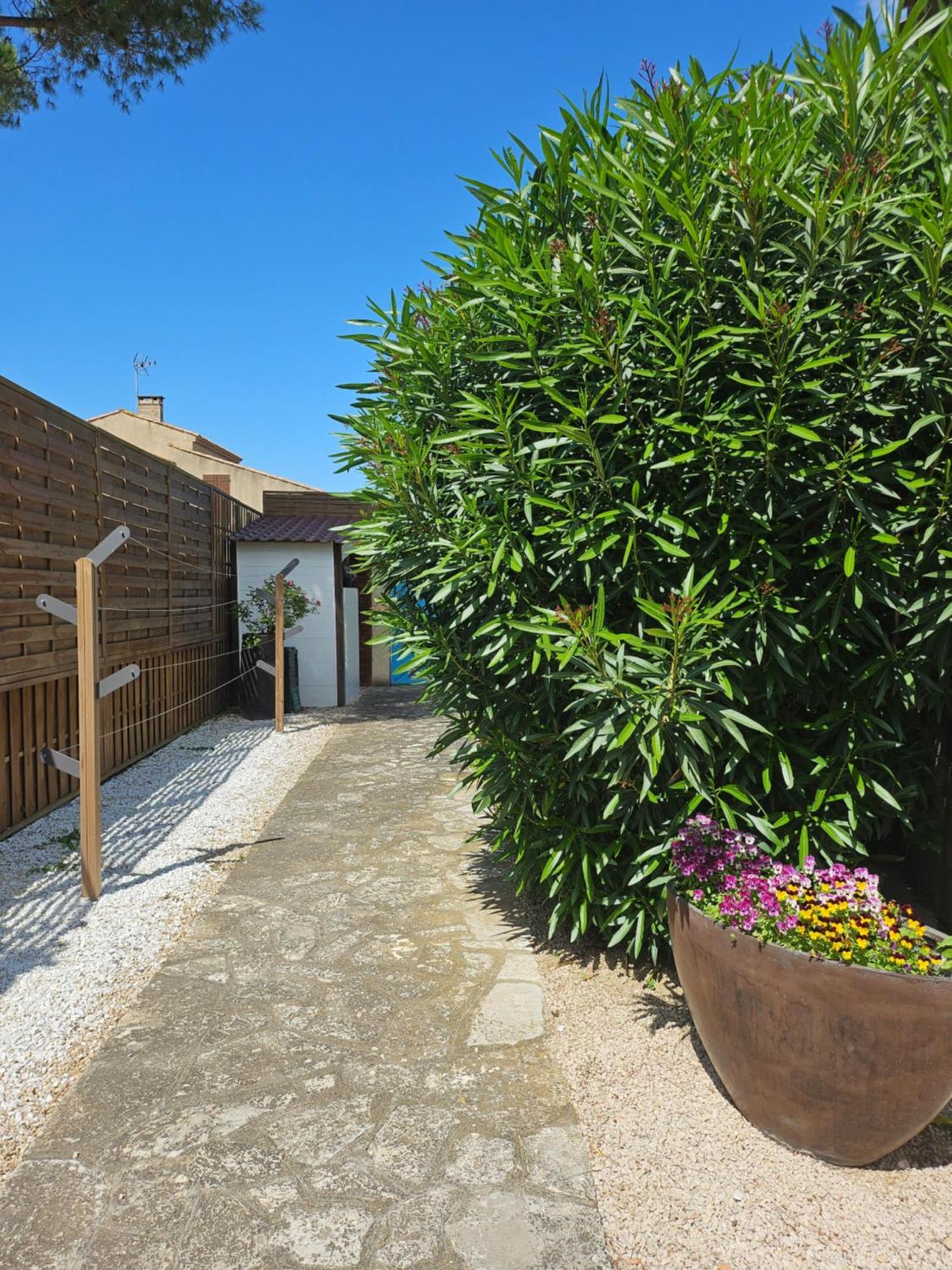 Belle Villa Lespignan Екстериор снимка